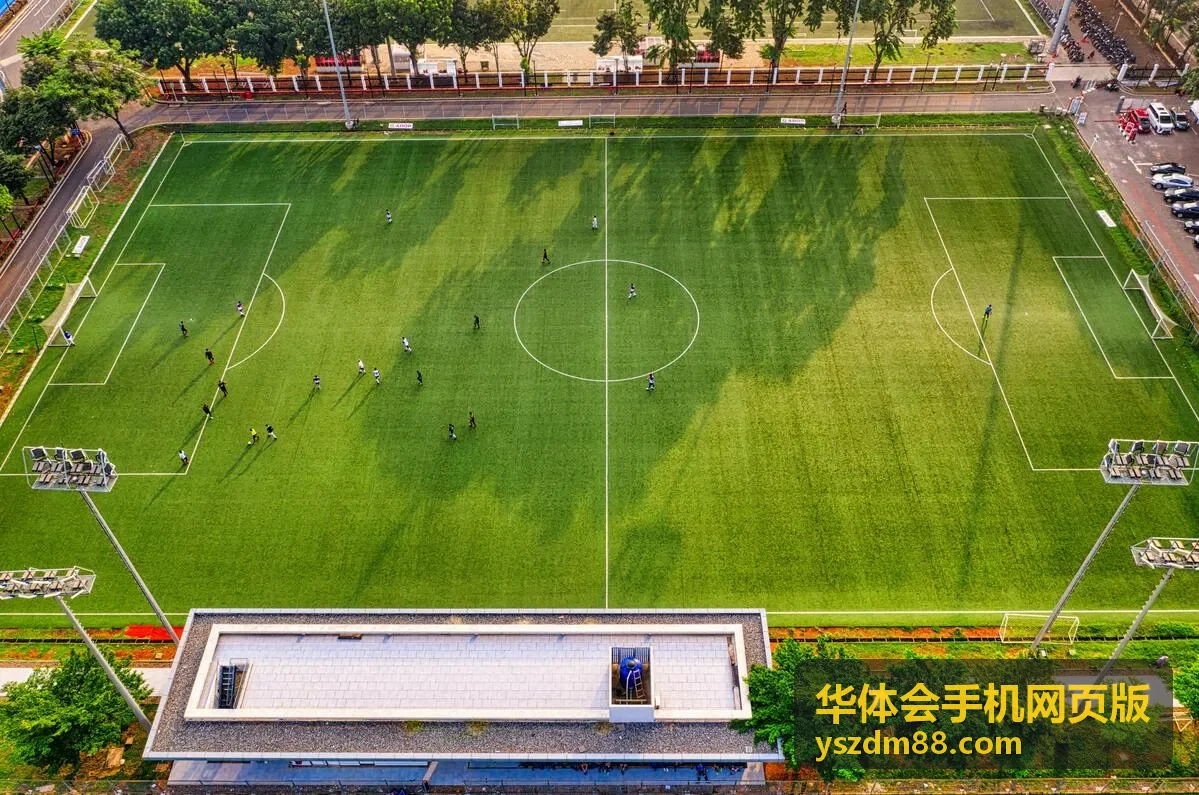 华体会手机网页版运动人物访谈片单封面